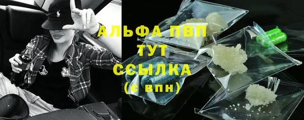 молекула духа Болхов