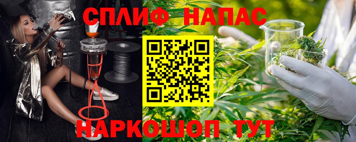 Шишки марихуана марихуана Грозный
